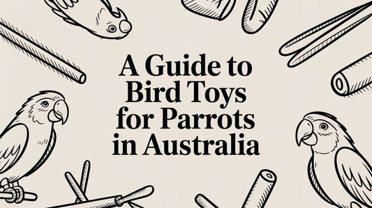 A Guide to Bird Toys for Parrots in Australia