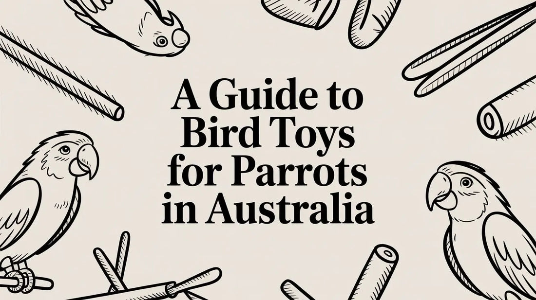 A Guide to Bird Toys for Parrots in Australia Lou Lou Bells Bird Toys