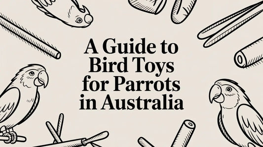 A Guide to Bird Toys for Parrots in Australia Lou Lou Bells Bird Toys