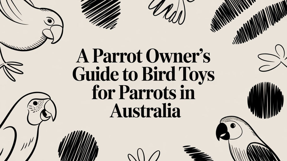 A Parrot Owner’s Guide to Bird Toys for Parrots in Australia Lou Lou Bells Bird Toys