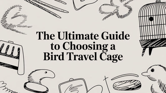 The Ultimate Guide to Choosing a Bird Travel Cage