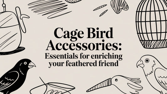 Cage Bird Accessories: Essentials for Enriching Your Feathered Friend