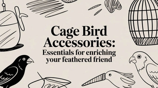 Cage Bird Accessories: Essentials for Enriching Your Feathered Friend Lou Lou Bells Bird Toys