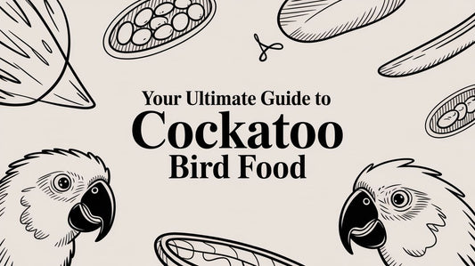 Your Ultimate Guide to Cockatoo Bird Food
