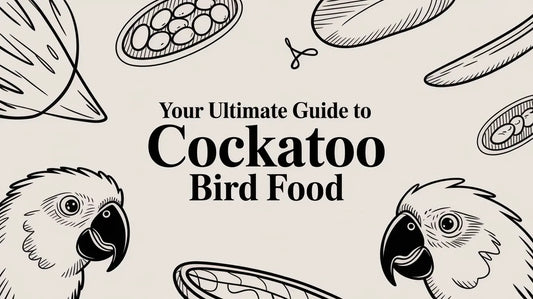 Your Ultimate Guide to Cockatoo Bird Food Lou Lou Bells Bird Toys