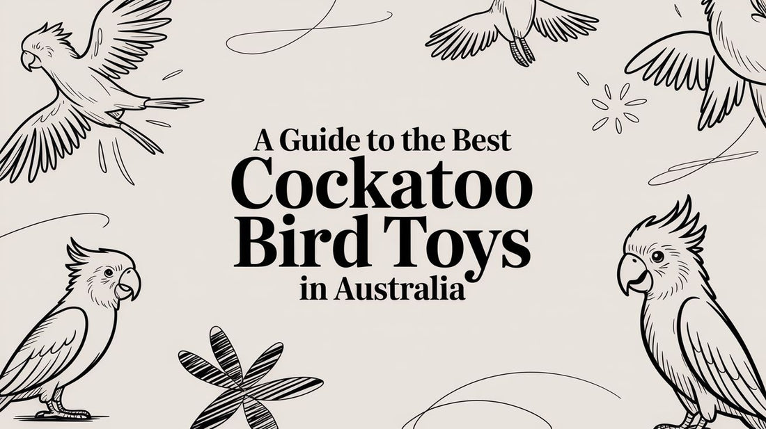 A-Guide-to-the-Best-Cockatoo-Bird-Toys-in-Australia Lou Lou Bells Bird Toys