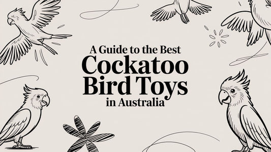 A-Guide-to-the-Best-Cockatoo-Bird-Toys-in-Australia Lou Lou Bells Bird Toys
