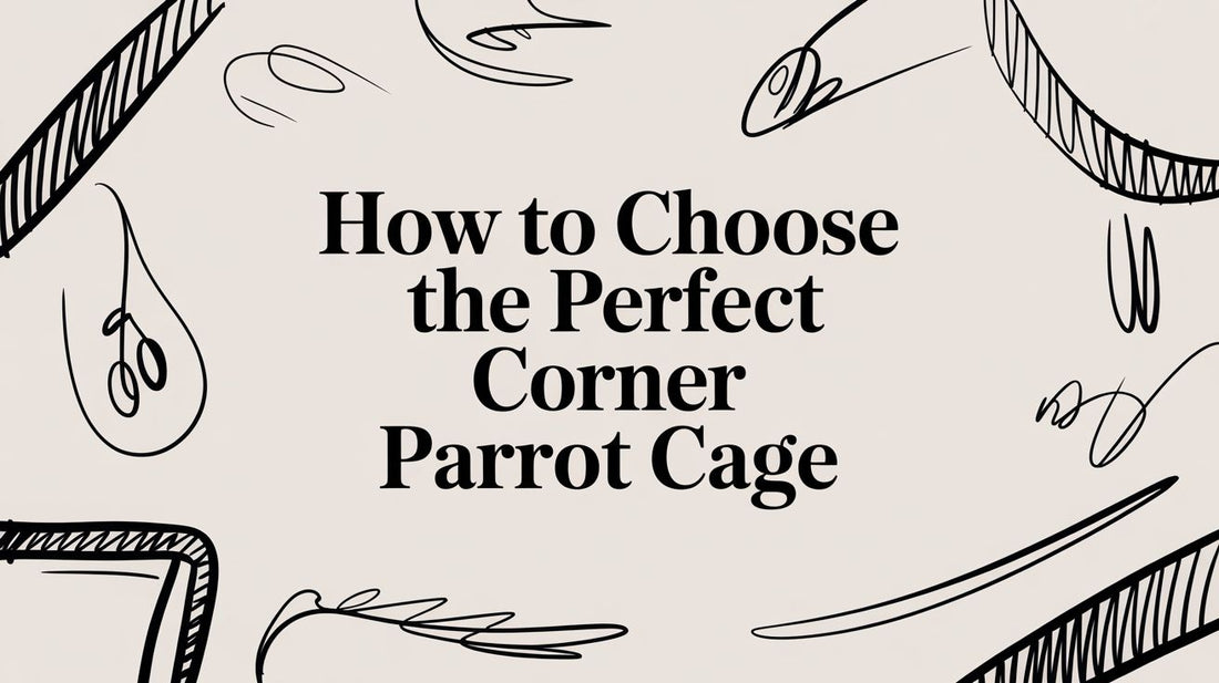 How to Choose the Perfect Corner Parrot Cage