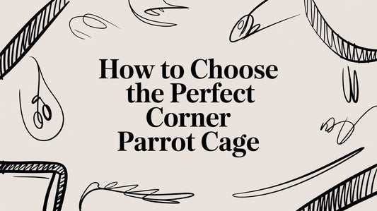 How to Choose the Perfect Corner Parrot Cage