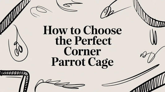 How to Choose the Perfect Corner Parrot Cage Lou Lou Bells Bird Toys