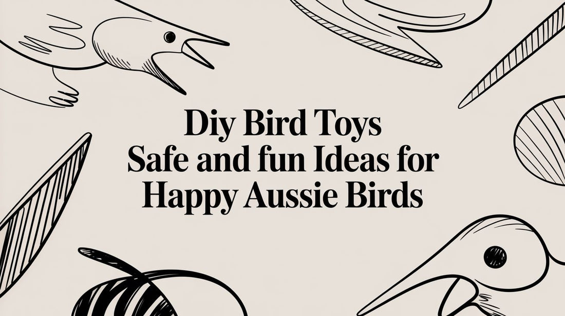 DIY Bird Toys Safe and Fun Ideas for Happy Aussie Birds