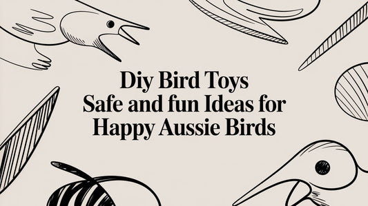 DIY Bird Toys Safe and Fun Ideas for Happy Aussie Birds