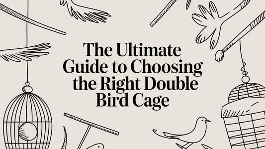 The Ultimate Guide to Choosing the Right Double Bird Cage Lou Lou Bells Bird Toys