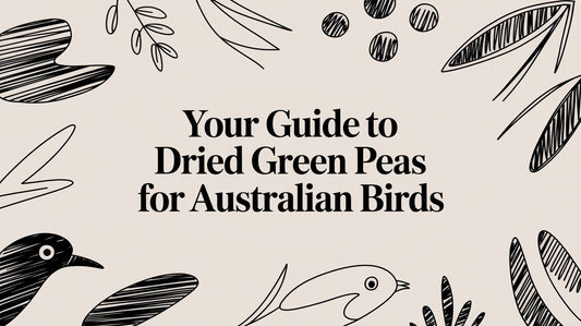 Your Guide To Dried Green Peas For Australian Birds Lou Lou Bells Bird Toys