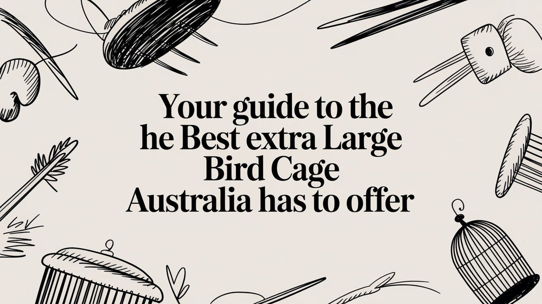 Your Guide to the Best Extra Large Bird Cage Australia Has to Offer Lou Lou Bells Bird Toys