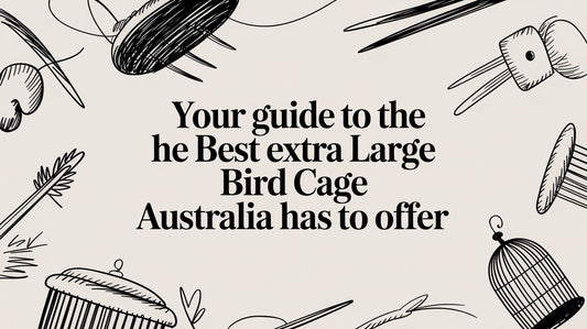 Your Guide to the Best Extra Large Bird Cage Australia Has to Offer Lou Lou Bells Bird Toys