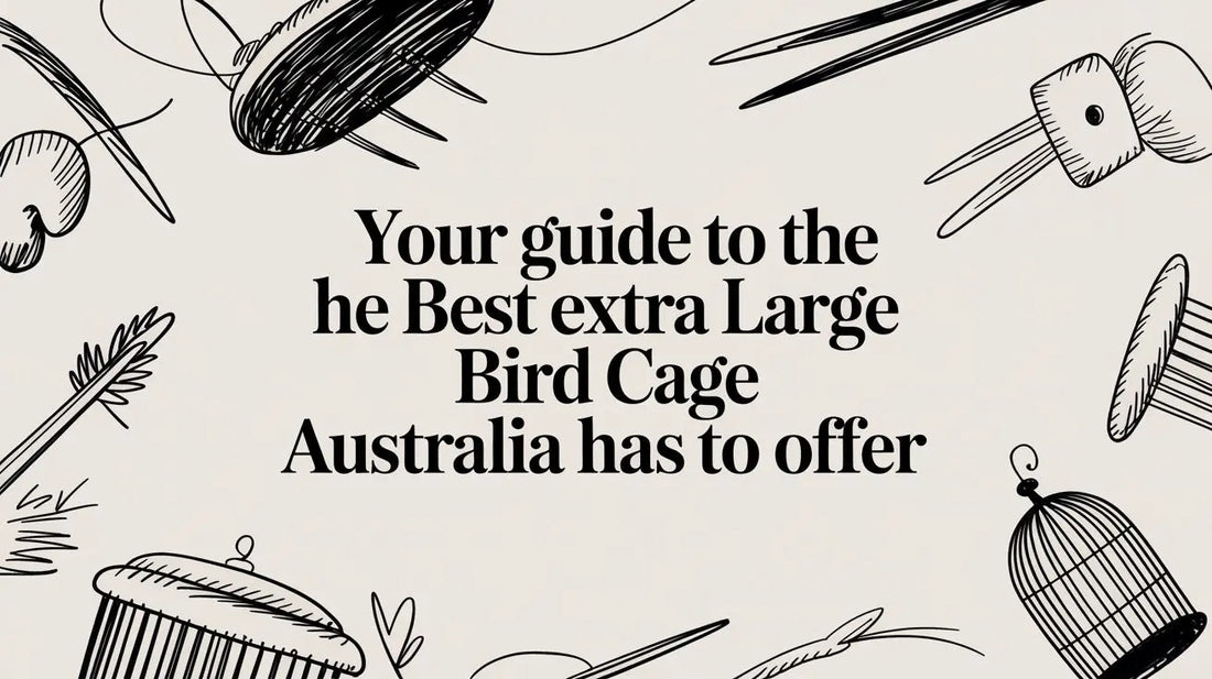 Your Guide to the Best Extra Large Bird Cage Australia Has to Offer Lou Lou Bells Bird Toys