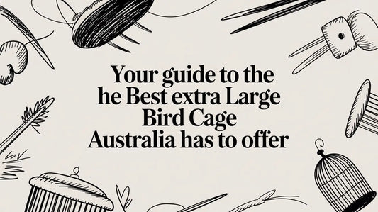 Your Guide to the Best Extra Large Bird Cage Australia Has to Offer Lou Lou Bells Bird Toys