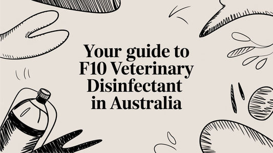 Your Guide to F10 Veterinary Disinfectant in Australia Lou Lou Bells Bird Toys
