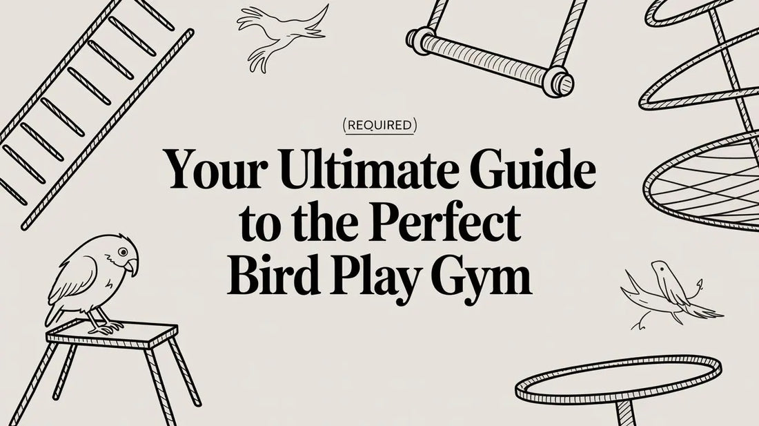 Your Ultimate Guide to the Perfect Bird Play Gym Lou Lou Bells Bird Toys