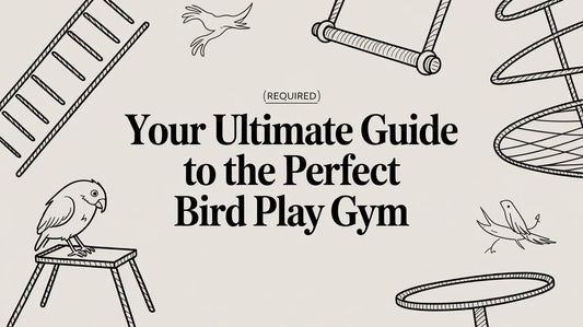 Your Ultimate Guide to the Perfect Bird Play Gym Lou Lou Bells Bird Toys