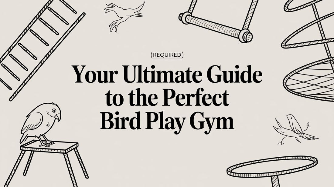 Your Ultimate Guide to the Perfect Bird Play Gym