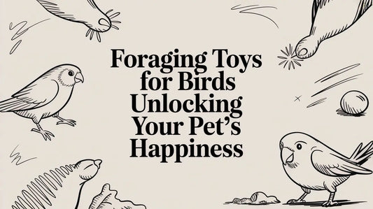Foraging Toys for Birds Unlocking Your Pet's Happiness Lou Lou Bells Bird Toys