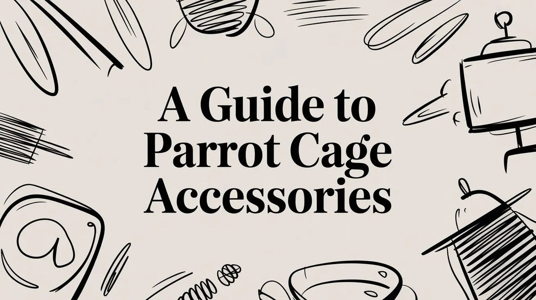 A Guide to Parrot Cage Accessories Lou Lou Bells Bird Toys