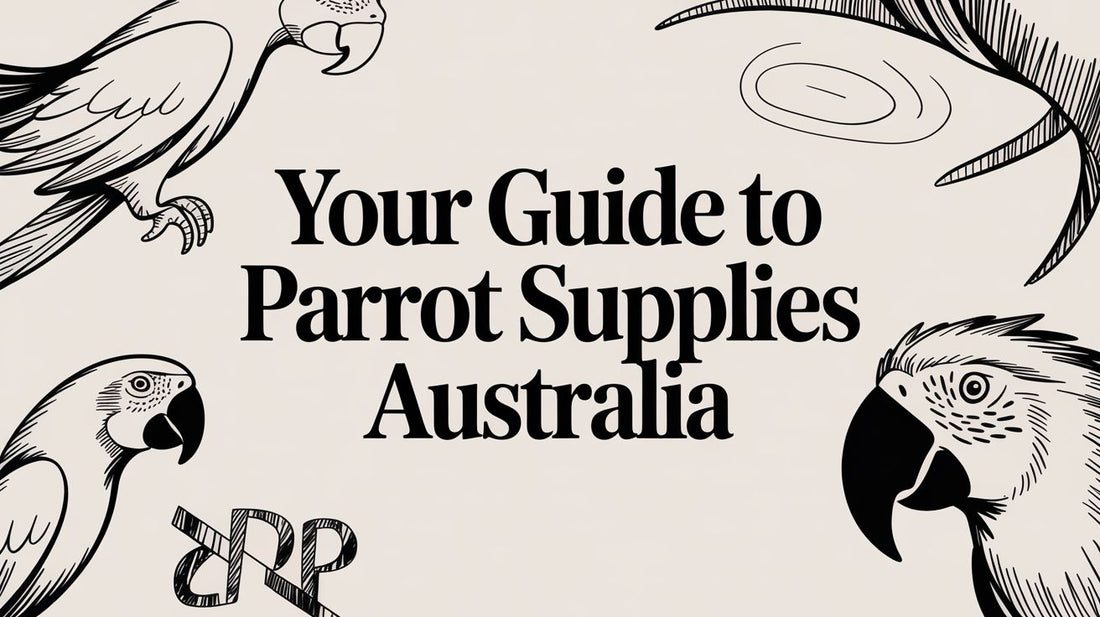 Your Guide to Parrot Supplies Australia