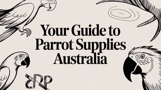 Your Guide to Parrot Supplies Australia