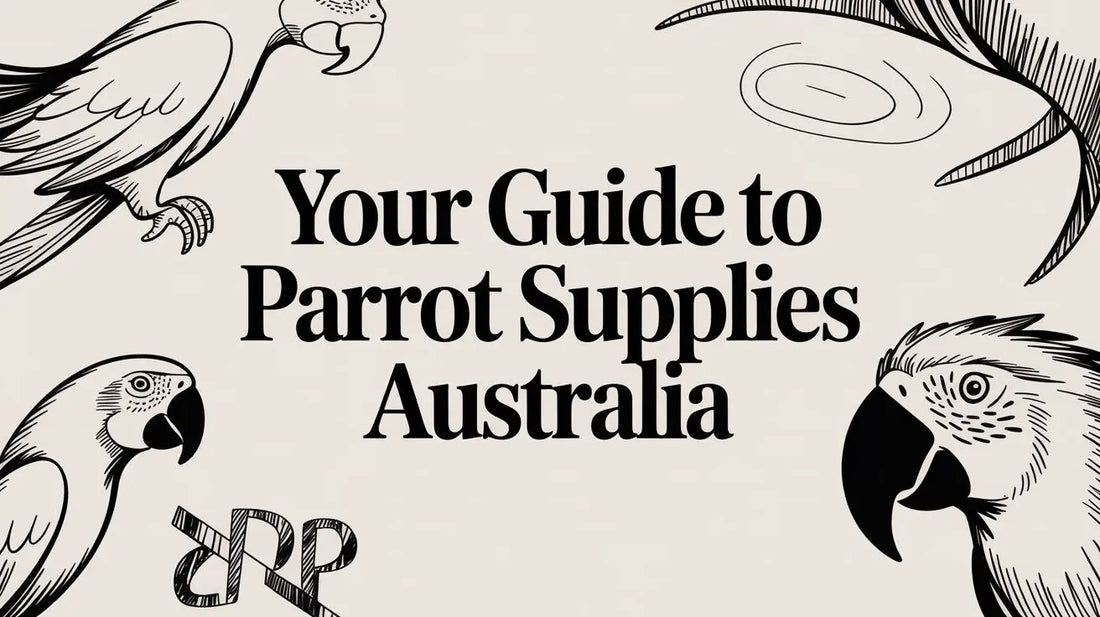 Your Guide to Parrot Supplies Australia Lou Lou Bells Bird Toys