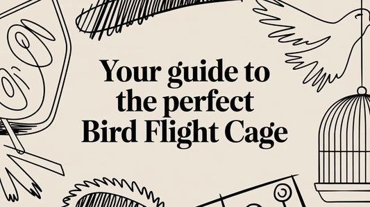 Your Guide to the Perfect Bird Flight Cage Lou Lou Bells Bird Toys