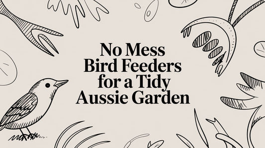 No Mess Bird Feeders for a Tidy Aussie Garden