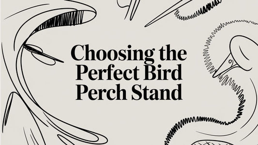 Choosing the Perfect Bird Perch Stand