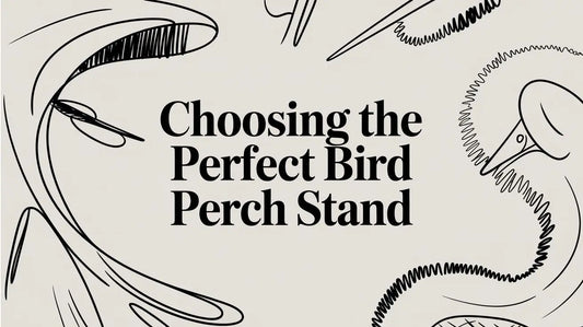 Choosing the Perfect Bird Perch Stand Lou Lou Bells Bird Toys