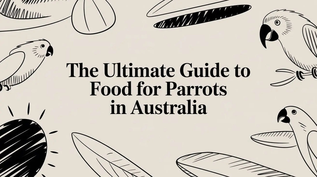 The Ultimate Guide to Food for Parrots in Australia Lou Lou Bells Bird Toys