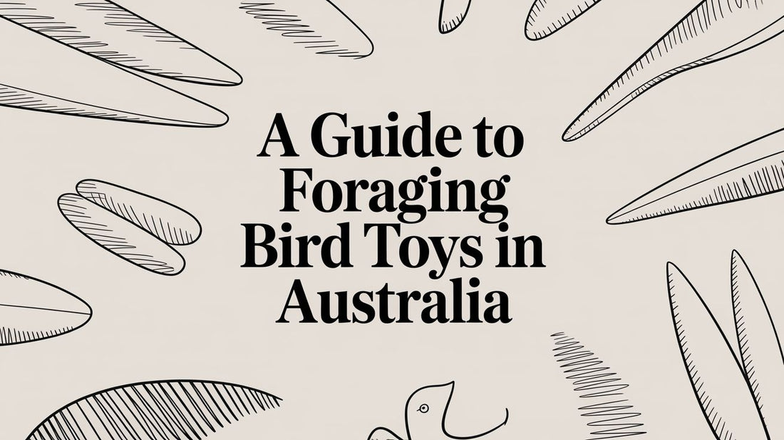 A Guide to Foraging Bird Toys in Australia