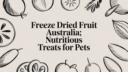 Freeze Dried Fruit Australia: A Nutritious Guide for Bird Owners Lou Lou Bells Bird Toys