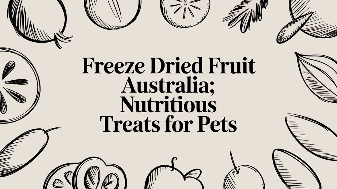 Freeze Dried Fruit Australia: A Nutritious Guide for Bird Owners Lou Lou Bells Bird Toys
