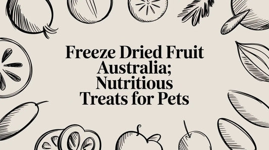 Freeze Dried Fruit Australia: A Nutritious Guide for Bird Owners Lou Lou Bells Bird Toys