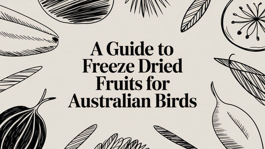 A Guide To Freeze Dried Fruits For Australian Birds