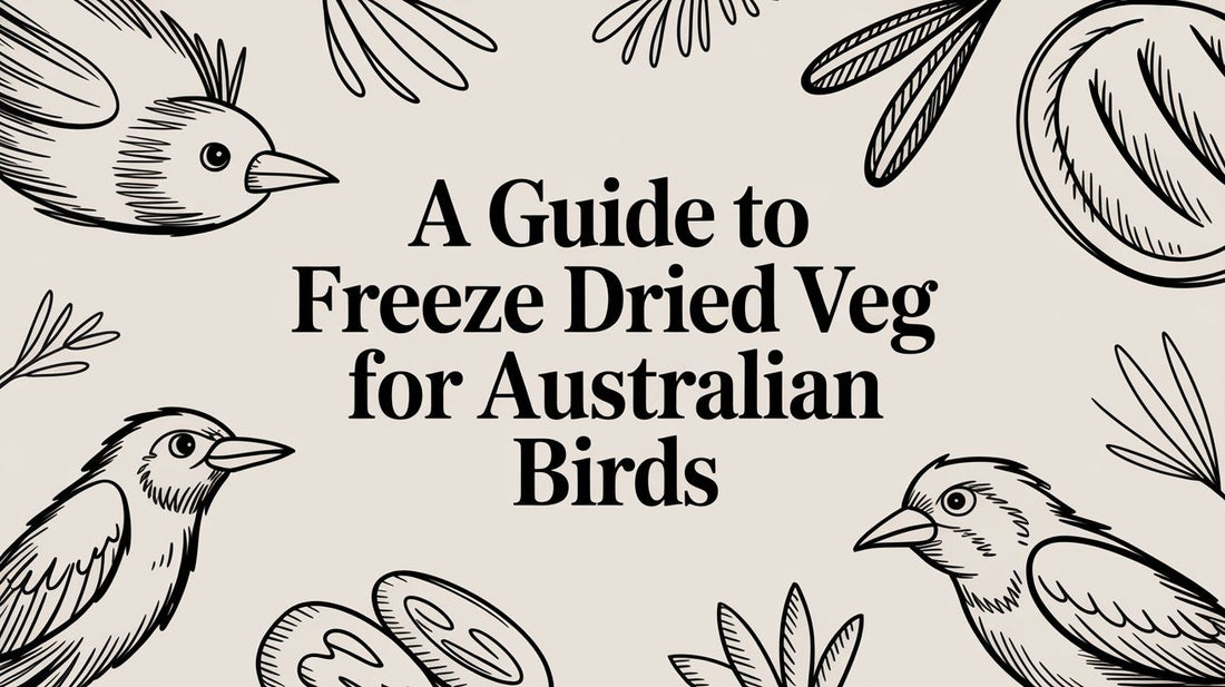 A Guide to Freeze Dried Veg for Australian Birds