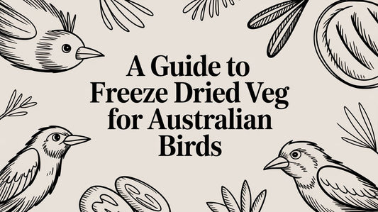 A Guide to Freeze Dried Veg for Australian Birds
