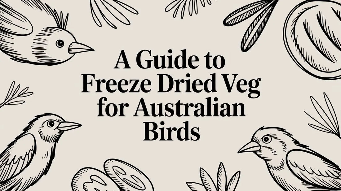 A Guide to Freeze Dried Veg for Australian Birds Lou Lou Bells Bird Toys