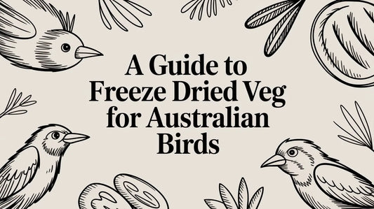 A Guide to Freeze Dried Veg for Australian Birds Lou Lou Bells Bird Toys
