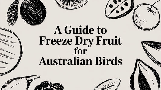 A Guide to Freeze Dry Fruit for Australian Birds Lou Lou Bells Bird Toys