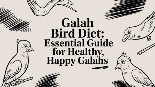 Galah bird diet: Essential Guide for Healthy, Happy Galahs Lou Lou Bells Bird Toys