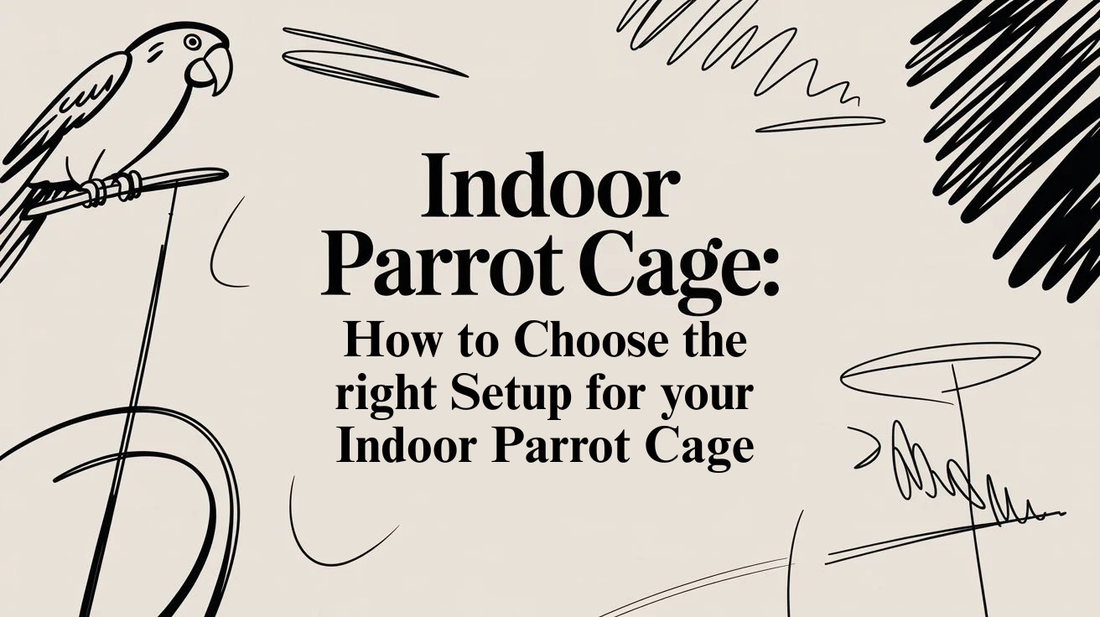 Indoor Parrot Cage: How to Choose the Right Setup for Your indoor parrot cage
