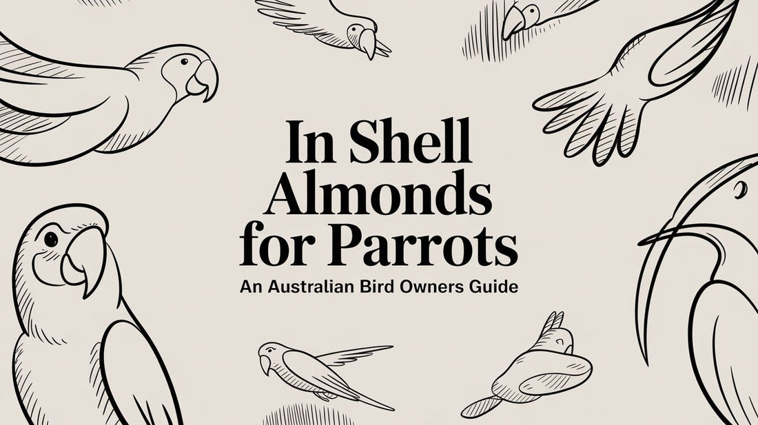 In-Shell Almonds For Parrots: An Australian Bird Owner's Guide