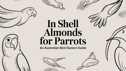 In-Shell Almonds For Parrots: An Australian Bird Owner's Guide